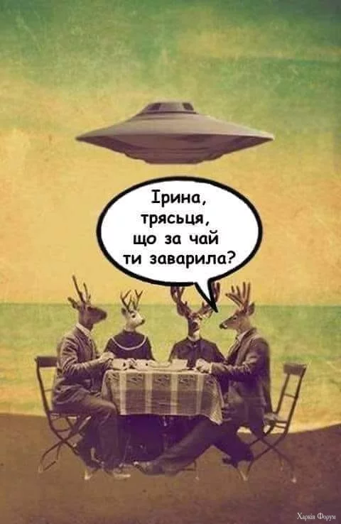 450055595_1190074142012540_6632276350245964717_n.webp