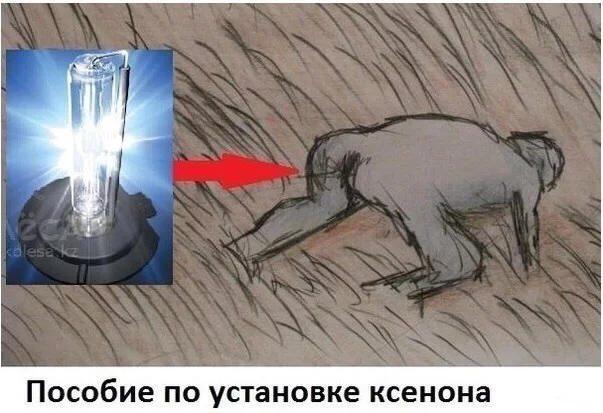 4502824.webp