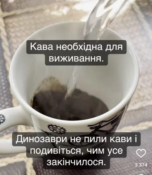 450934832_7617456771710135_8262876159343550117_n.webp