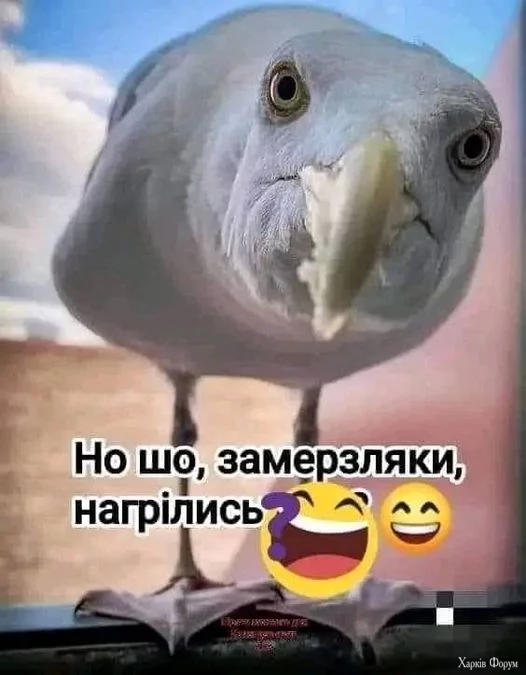 451061457_1045349580284176_2416948005692333343_n.webp