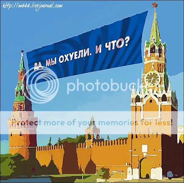 45129.webp