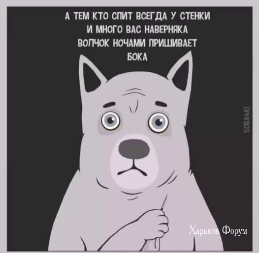 451c11bb2863b42bc12fa002.webp