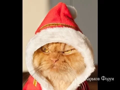 4526caf5b02c24bbde4d1887.webp