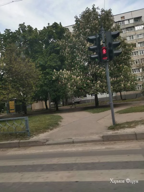 4529a061ffc9139cb.webp