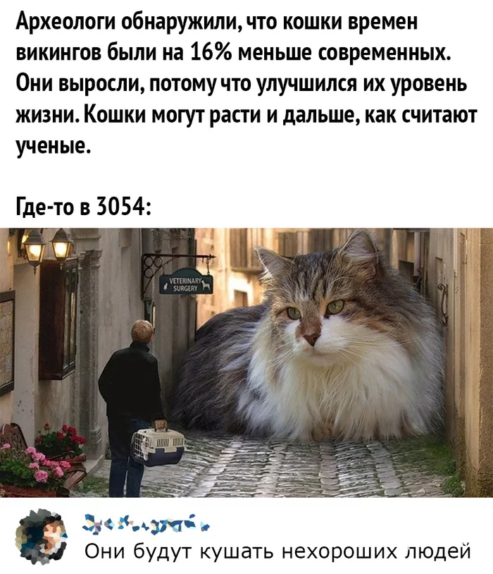 452a9f4ad6b8d7038.webp