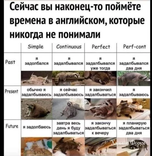 452d5ae40377ad38a04ba19.webp