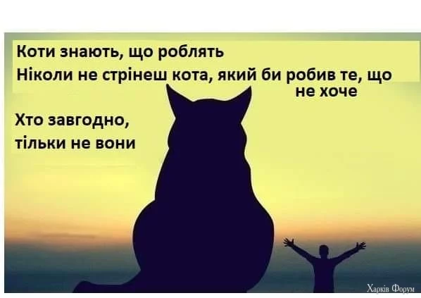 453234870_1267451901081689_3288617323056387326_n.webp