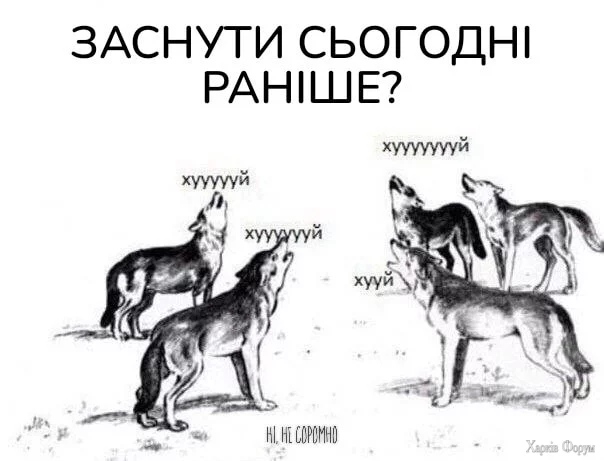 453402947_1012841780633240_1239648140371030688_n.webp