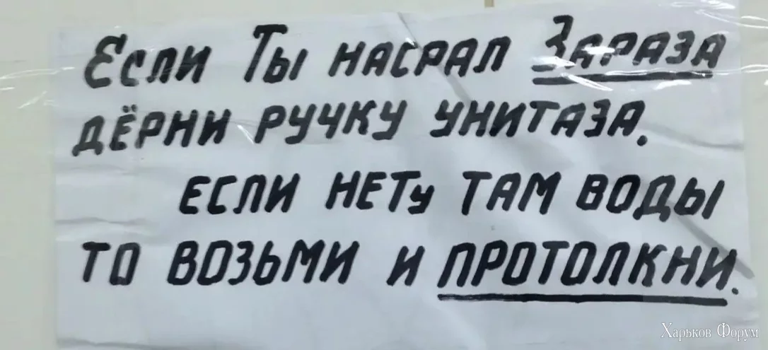 45347.webp