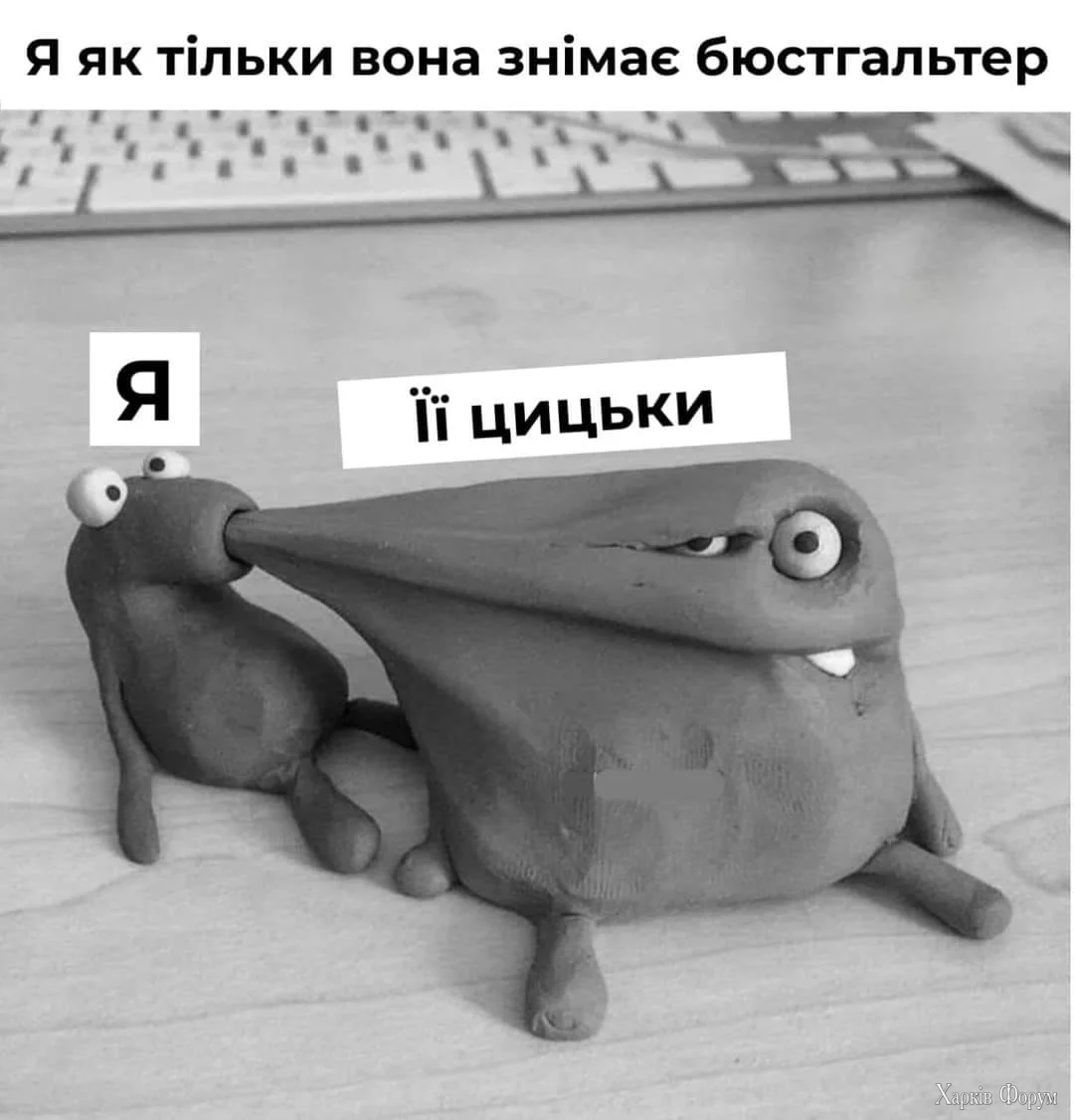 453850896_122179898048063253_1048294177677826203_n.webp