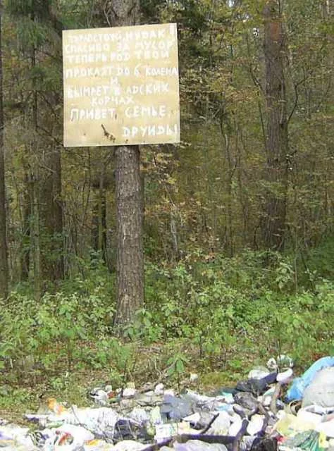 45395_640.webp