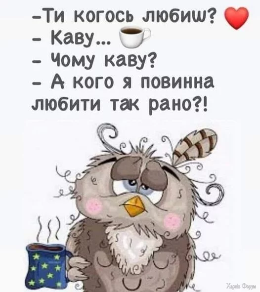 454631075_802247815395392_2754480620615354374_n.webp