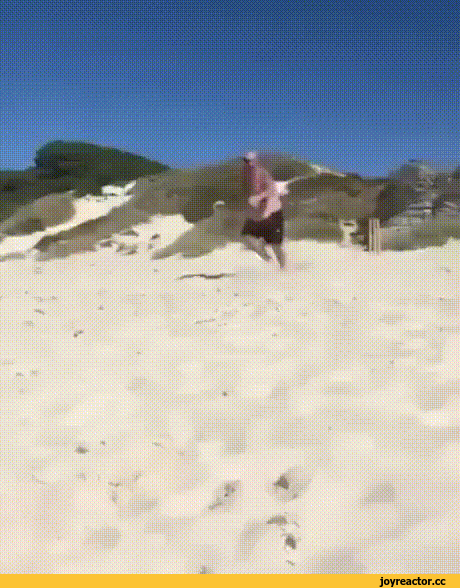 454e1e3cbf0e52362292fdab.gif