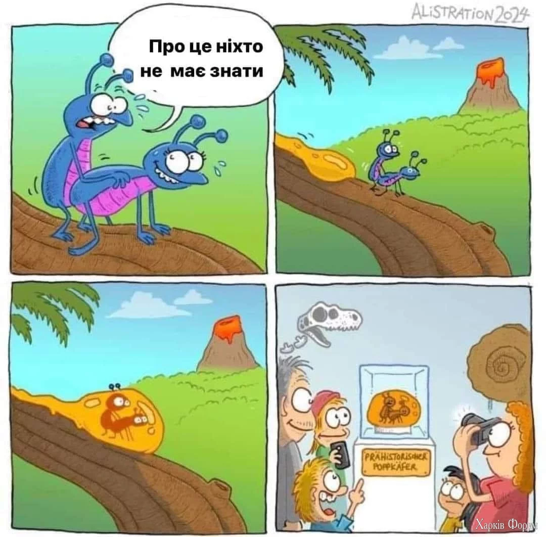 455698374_894217509400395_7642262492002879550_n.webp