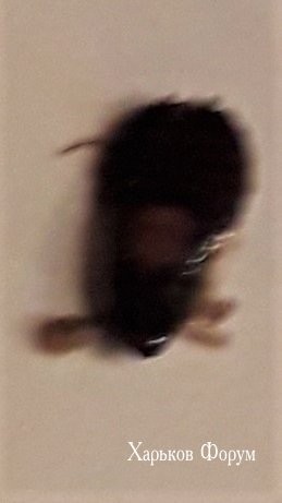 45595074e5899def.jpg