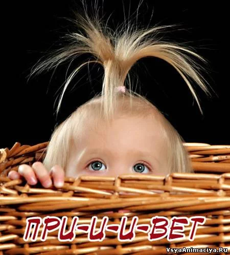456343823.webp