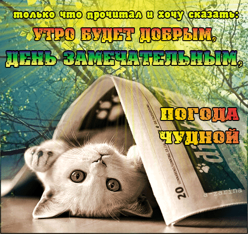 4574-ya.timkas-utro-azar-009.gif 4574-ya.timkas-utro-azar-009.gif