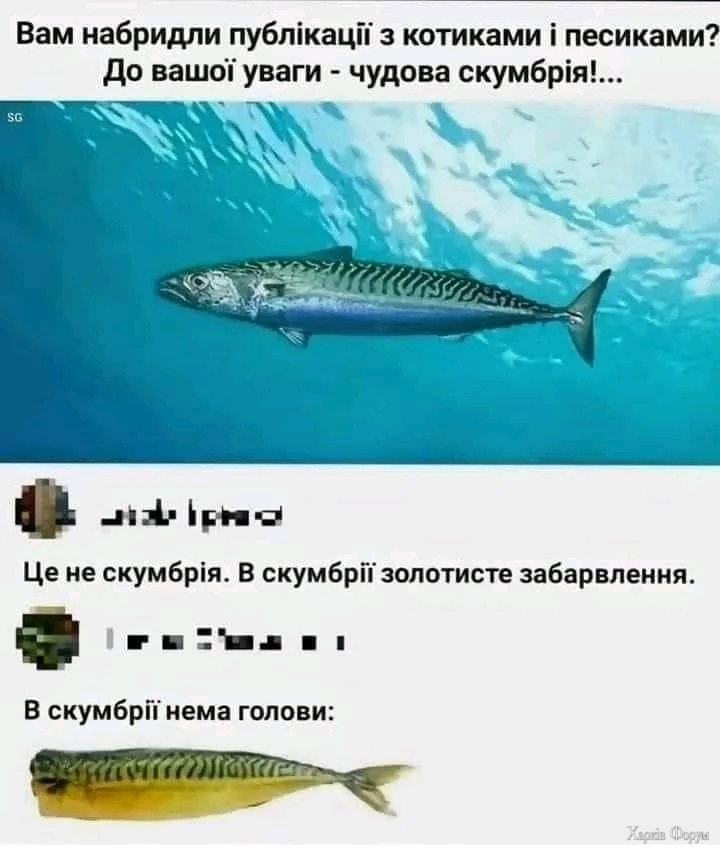 457494362_558395683180902_7948323595316939675_n.jpg