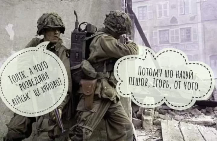 45790c4a358b521544.webp