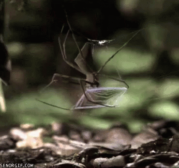 458ab74ff45e8fd65c.gif
