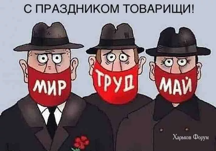 458b35886556f9702162fd.webp