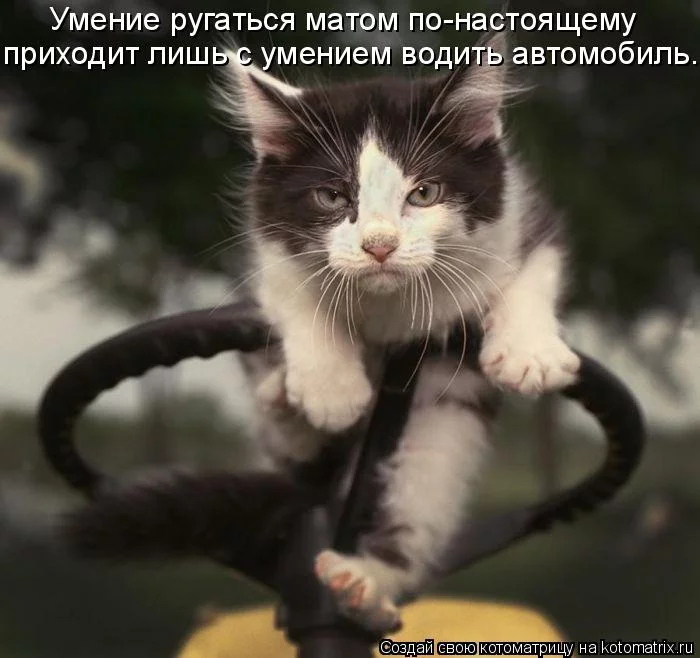 45922219_10.webp