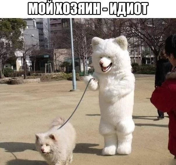 45a217922bf50d4713d3bf238263bd17.webp