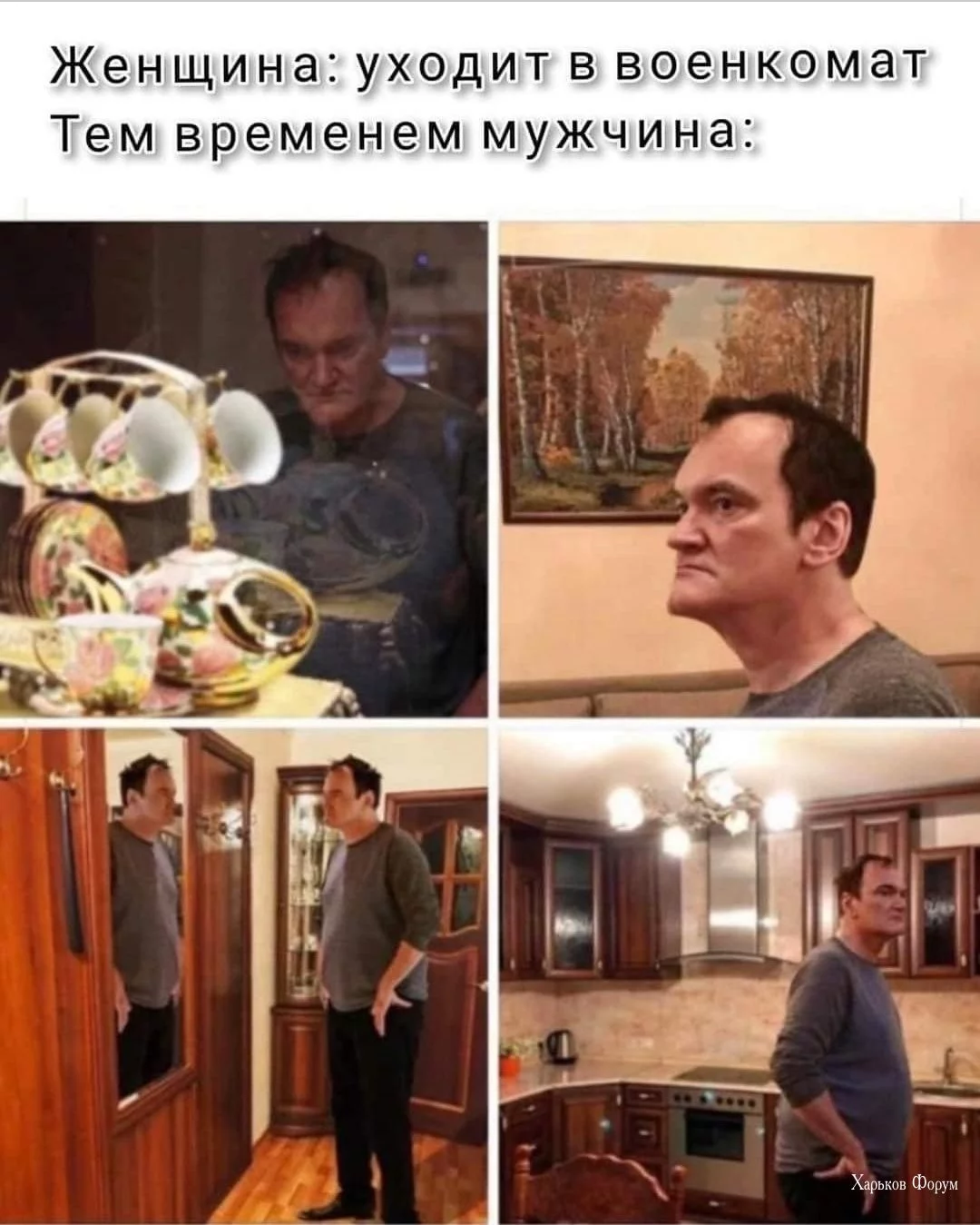45b1d350dd20f23d.webp