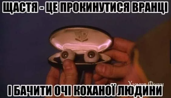 45c4c86c04b6113ad.webp
