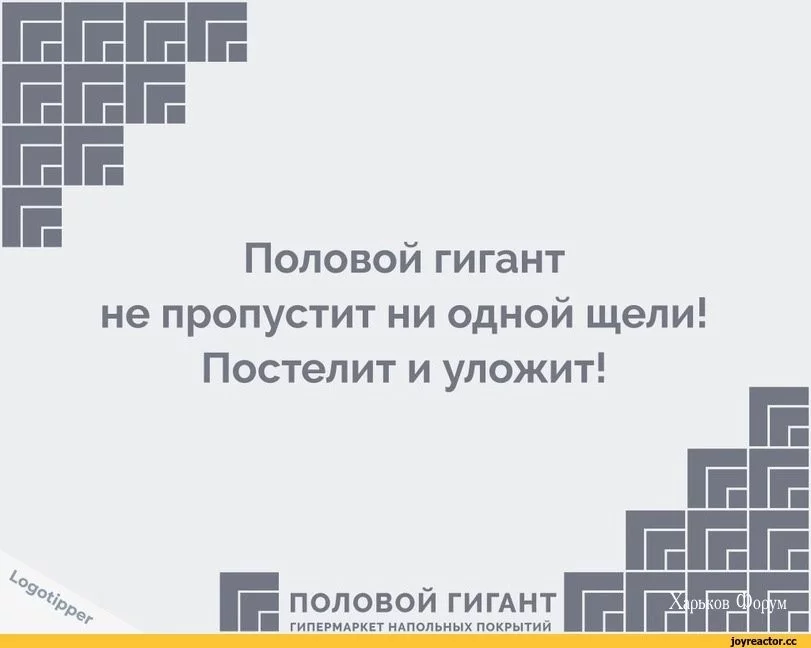 45ce9a9368fc76dfe84.webp