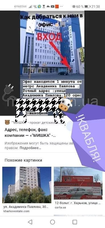 45ddbae74a41b308db65.webp