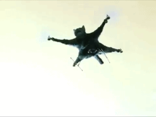 45e2db48e7056abb31.gif