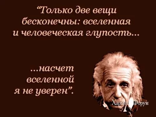 45f9720541b8a5b230328c.webp