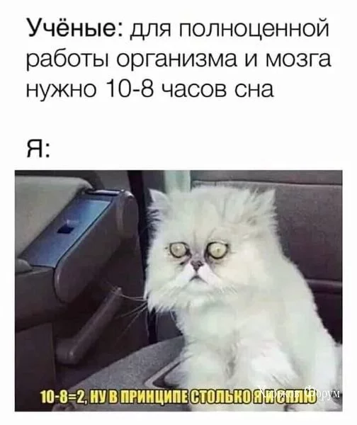 45fd7ac4395630316bc8.webp