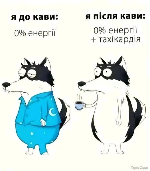 460263962_1075389690649572_860742861366673515_n.webp