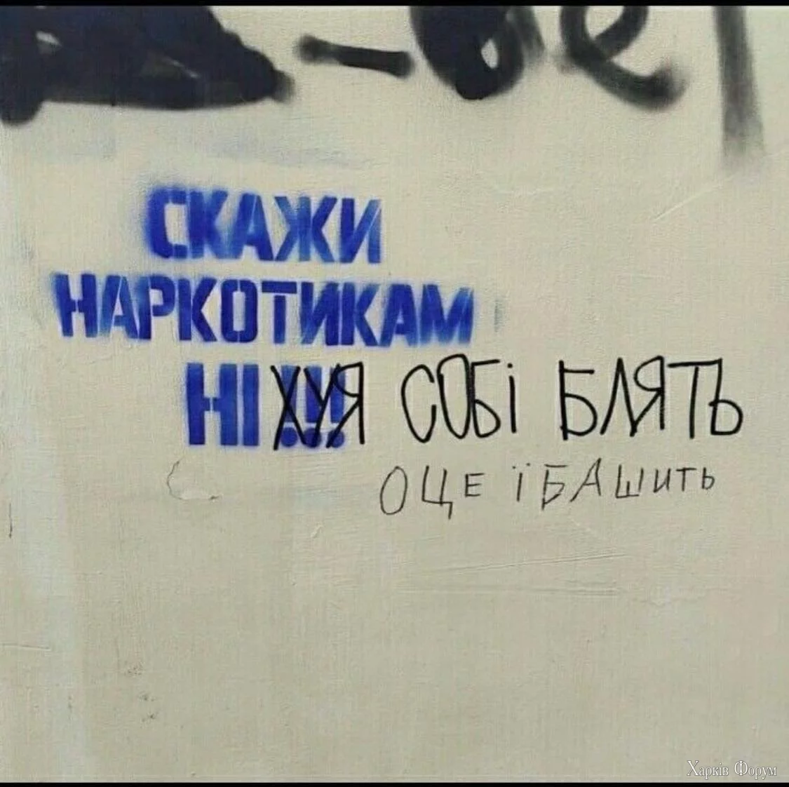 460451749_122124423530378115_1909146268165727327_n.webp