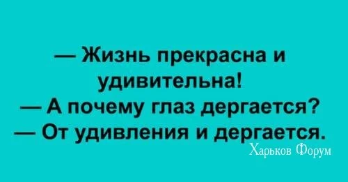 46053e2853890a330.webp