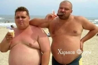4607e377dbb1dc2c09a22323.webp