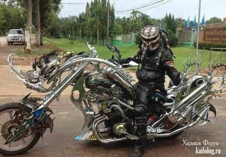 46084c3d176d52b112c3af1.webp