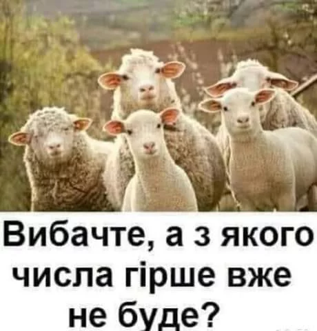 460x480.webp
