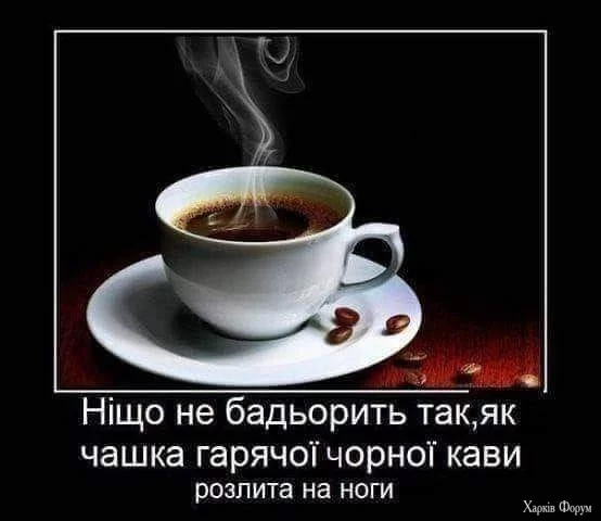 461478632_902316811789094_4243768793213094137_n.webp
