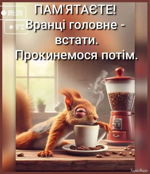 462465776_1706559566825957_890554995992293928_n.webp