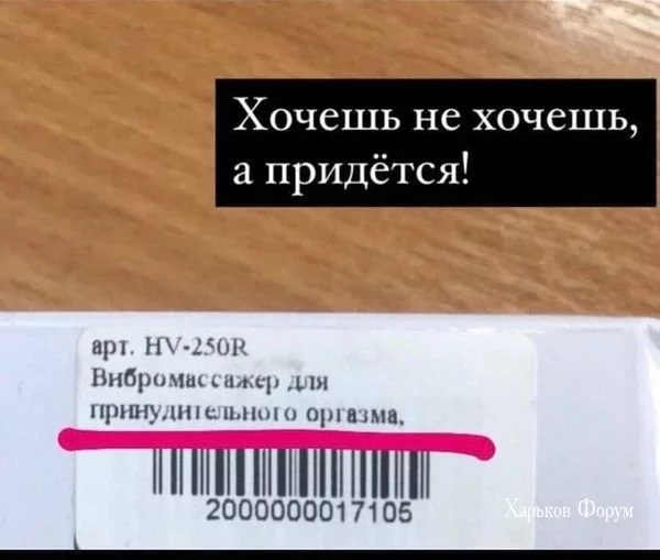 46290abe681186f3b.webp