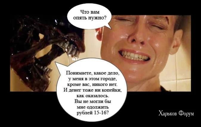 462f0b81fdebfe7c7.webp