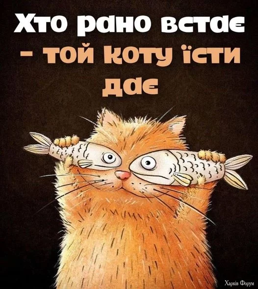 463297451_1664686487430303_4713194972168004342_n.webp
