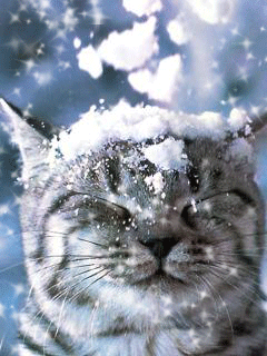 4632dc642014183cd7ec2663.gif