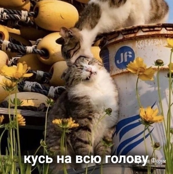 4637d0e5c058796f95c26a.jpg