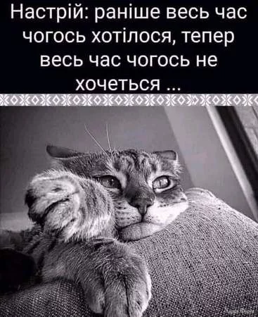 463825712_1734213710744912_5799333327903067251_n.webp