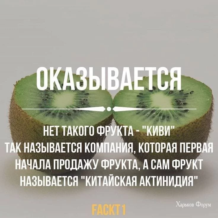46424b13175dfb424.webp