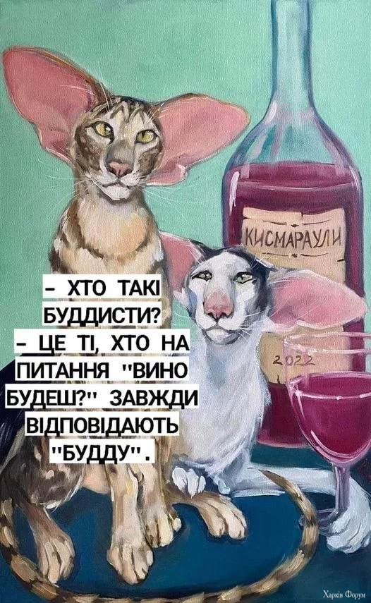 466141484_9076034695793151_2337939192285550602_n.webp